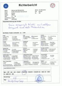 Richterbericht Soltau 15 (1).7.2012.jpg